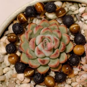 Tiger Eye and Lava Rock Gemstone Bracelet